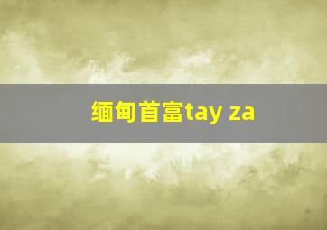 缅甸首富tay za